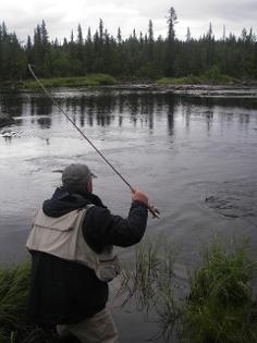 Fly Fishing for Grayling in Sweden